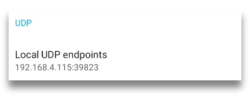 Local UDP endpoint