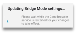 Bridge mode is starting