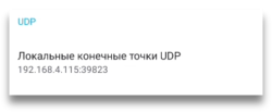 Local UDP endpoint