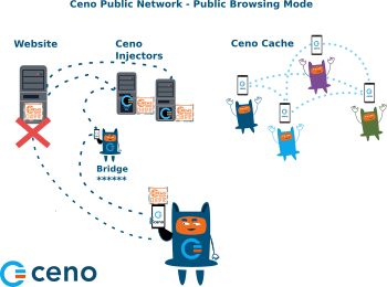 Ceno public network